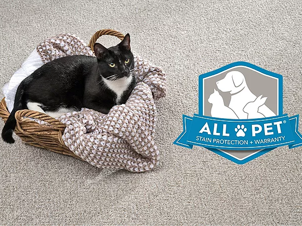 All Pet® is backed by our Pet® Protection & Warranty