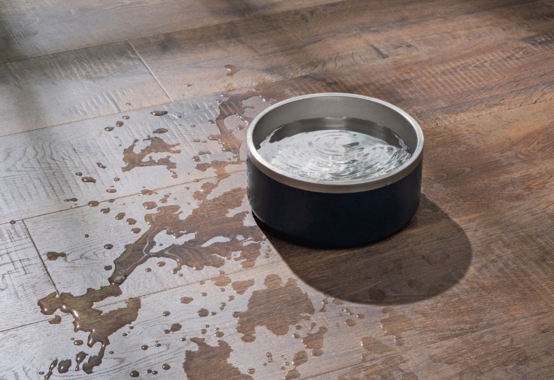 Pet's water bowl spilled on a Waterproof Pergo floor