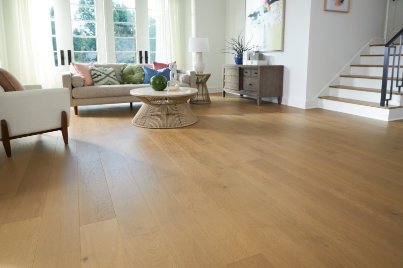 Organic Karastan Belleluxe flooring